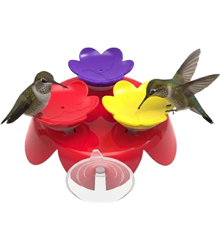 Amazon.com: ZUMMR Hummingbird Hand-Feeding Trainer Kit - Trainer